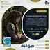 اکانت قانونی Horizon Forbidden West برای PS5 و PS4